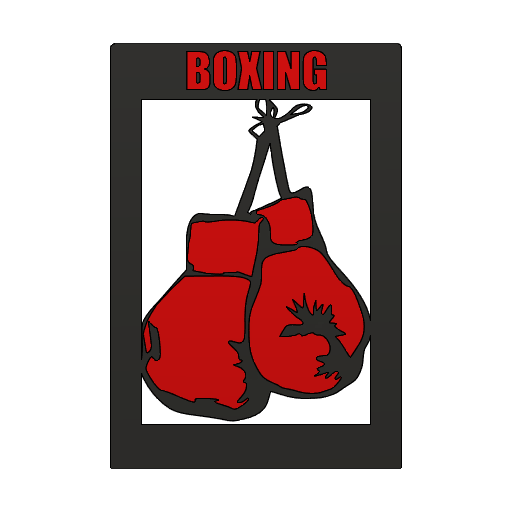 Boxing/UFC Card Box Divider