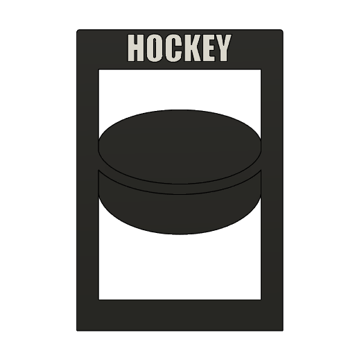 Hockey Card Box Divider