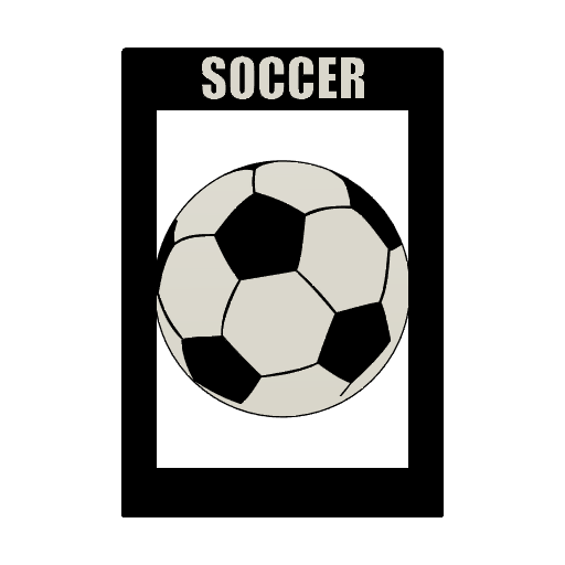 Soccer Card Box Divider